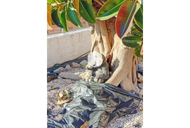 Segunda mano - Villa -
Torrevieja - La siesta