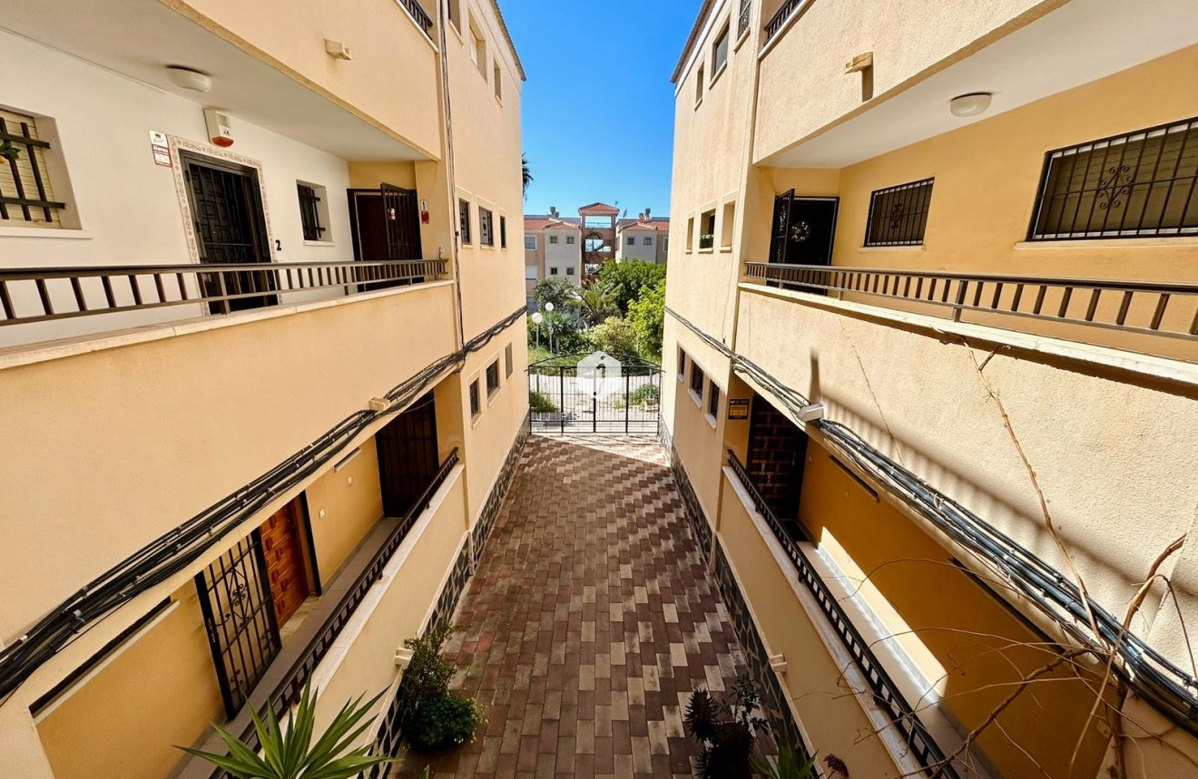 Tweedehands - Appartement / flat -
El Chaparral - Inland