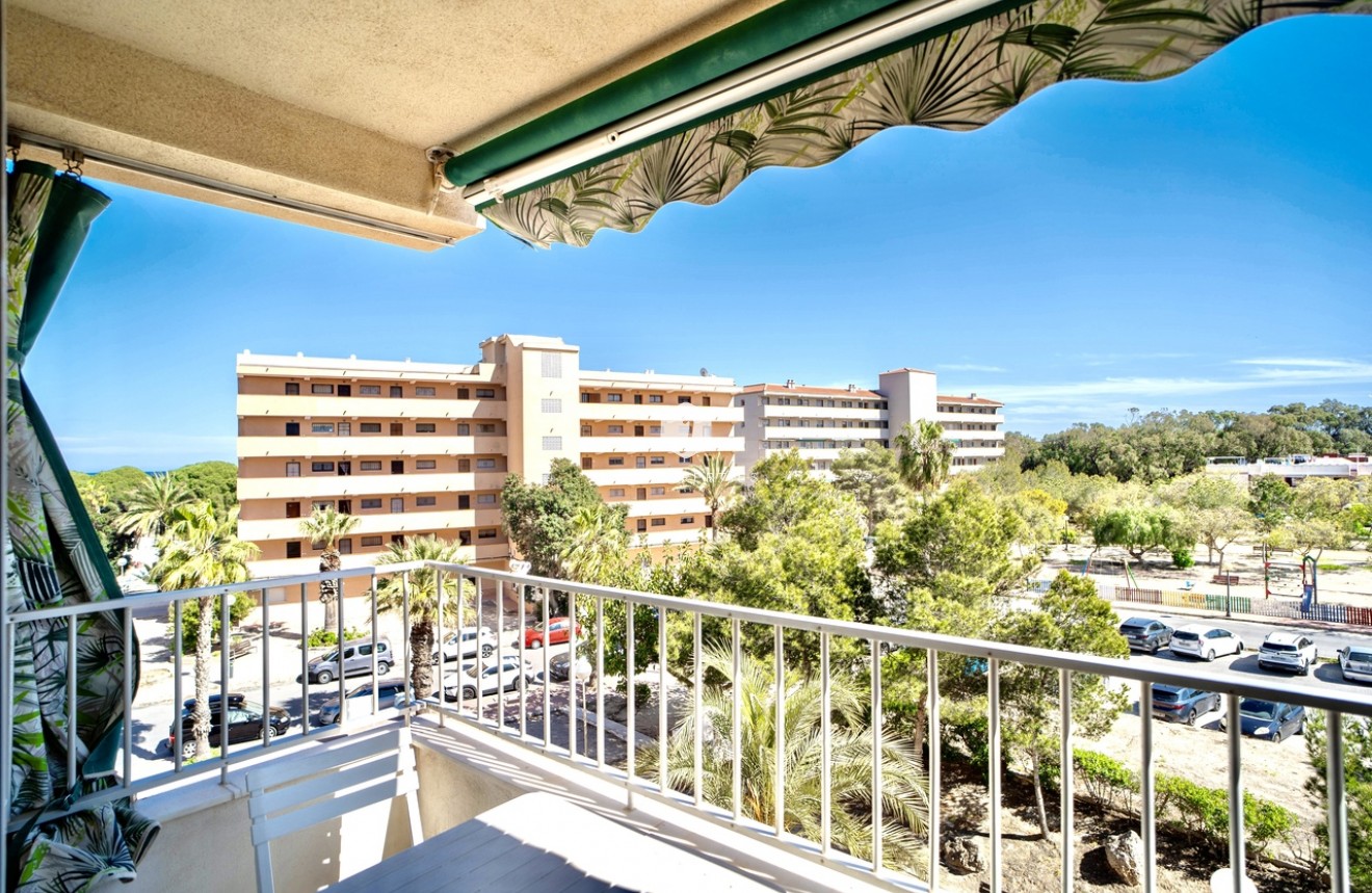 Aus zweiter Hand - Wohnung -
Guardamar del Segura - Costa Blanca