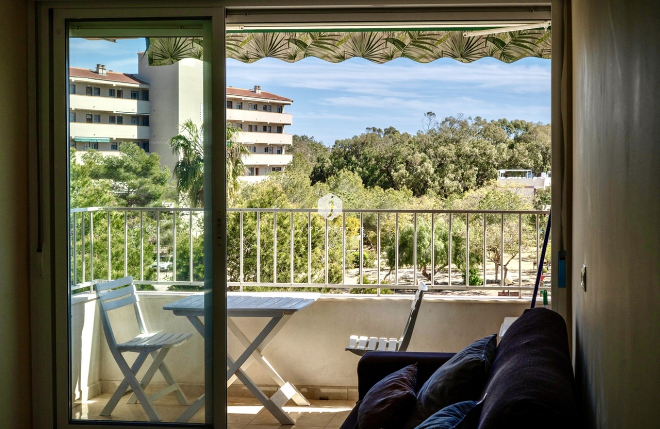 Aus zweiter Hand - Wohnung -
Guardamar del Segura - Costa Blanca