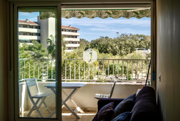 Aus zweiter Hand - Wohnung -
Guardamar del Segura - Costa Blanca