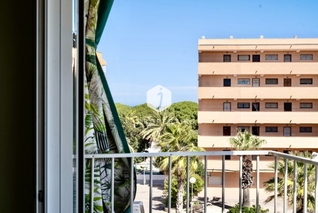 Aus zweiter Hand - Wohnung -
Guardamar del Segura - Costa Blanca