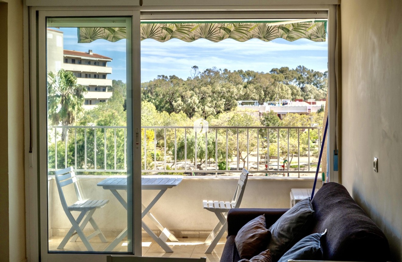 Aus zweiter Hand - Wohnung -
Guardamar del Segura - Costa Blanca