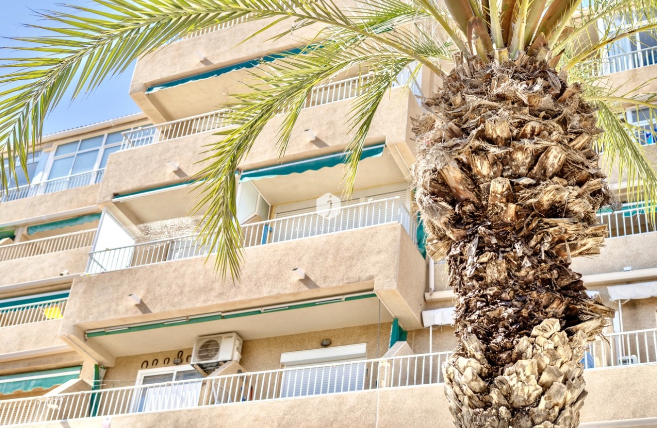Aus zweiter Hand - Wohnung -
Guardamar del Segura - Costa Blanca