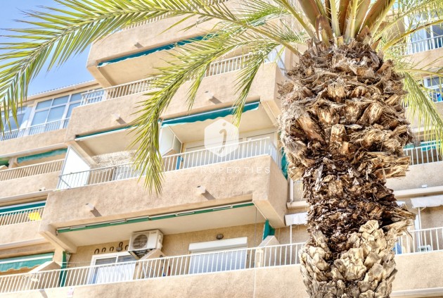Aus zweiter Hand - Wohnung -
Guardamar del Segura - Costa Blanca