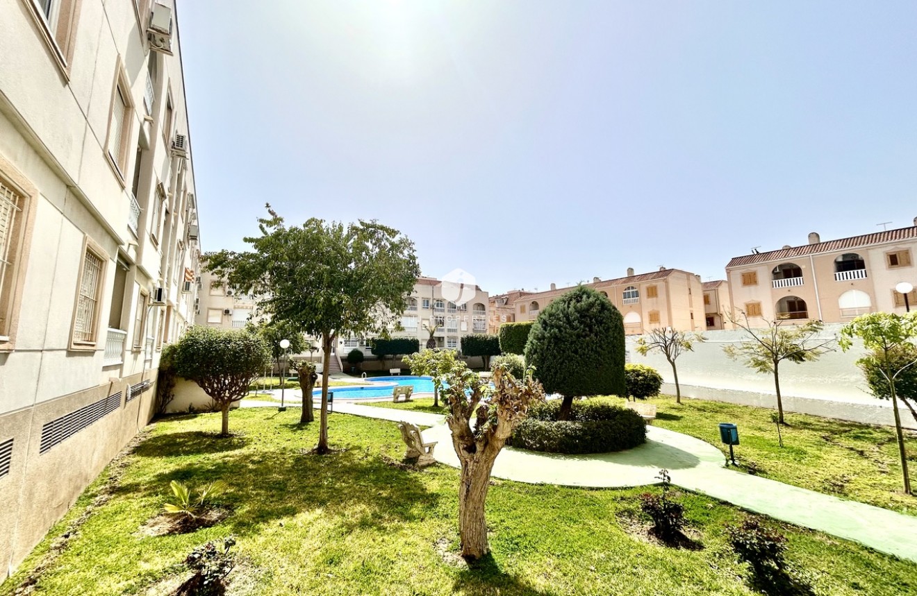 Z drugiej ręki - Mieszkanie w bloku -
Torrevieja - Costa Blanca
