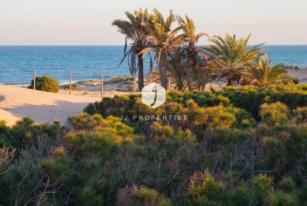 New Build - Apartment / flat -
Guardamar del Segura - Avda del Puerto