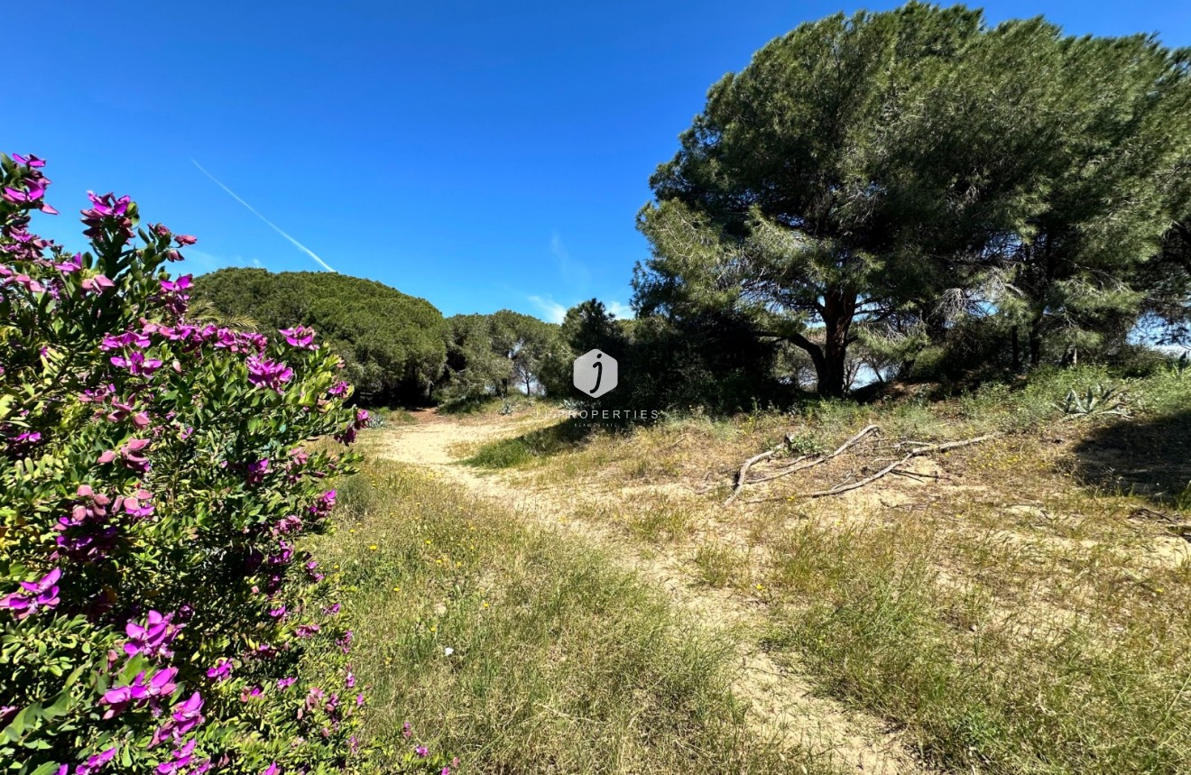 Z drugiej ręki - Szalet -
Guardamar del Segura - Costa Blanca