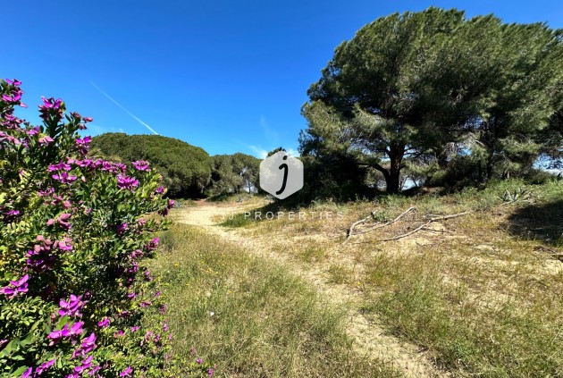 Z drugiej ręki - Szalet -
Guardamar del Segura - Costa Blanca