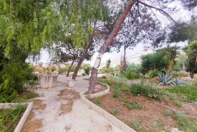 Resale - Villa -
San Miguel de Salinas - Inland