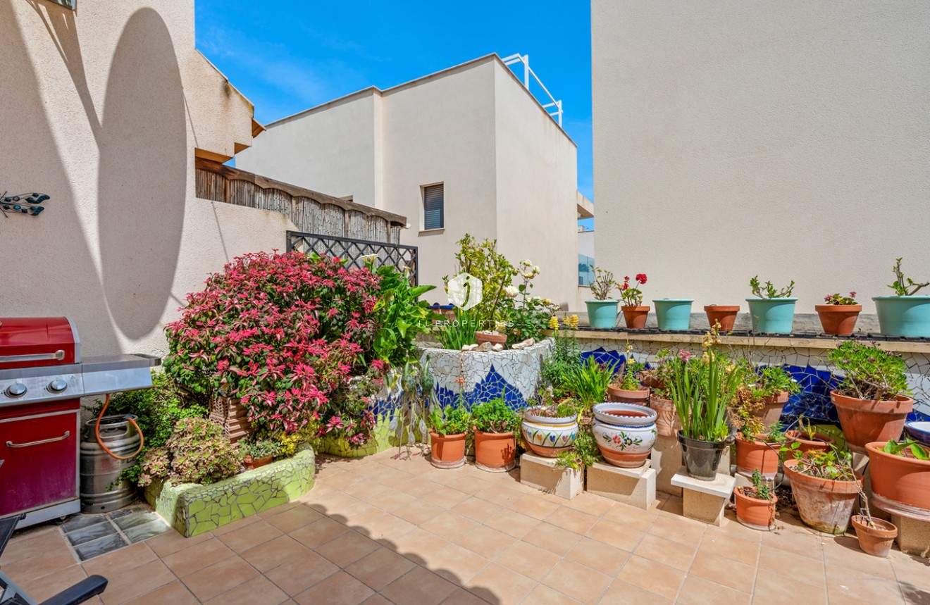 Resale - Chalet -
San Miguel de Salinas - Inland