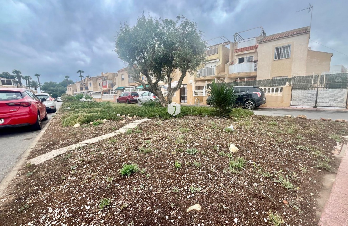 Z drugiej ręki - Bungalow -
Torrevieja - Paraje Natural