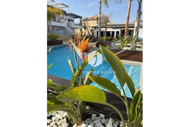 Tweedehands - Appartement / flat -
Orihuela Costa - Rocio Del Mar