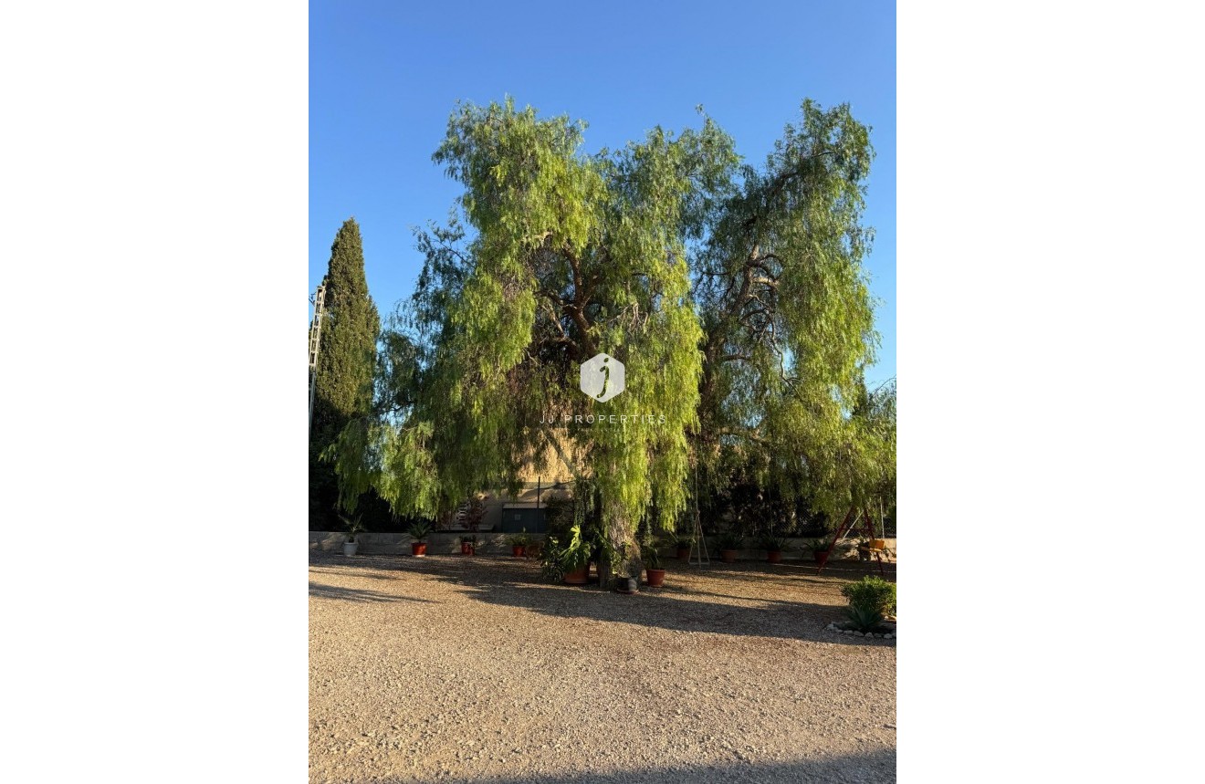 Resale - Villa -
Albatera - Partida Lomas