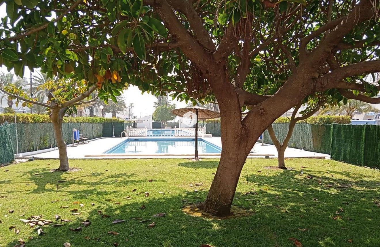 D'occasion - Appartement -
Torrevieja - MAR AZUL LA VELETA