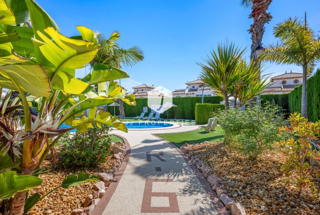 Z drugiej ręki - Szalet -
Cabo Roig - Costa Blanca