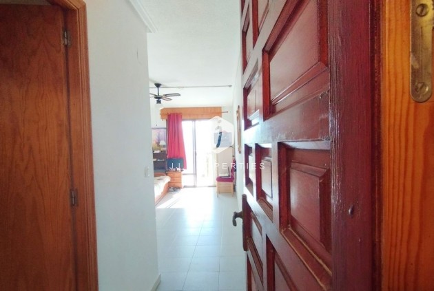 D'occasion - Appartement -
Torrevieja - Costa Blanca