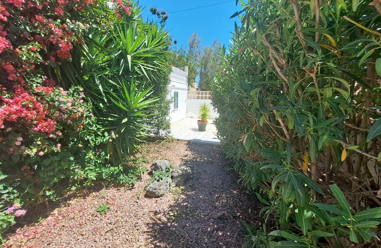 Resale - Villa -
San Miguel de Salinas - Inland