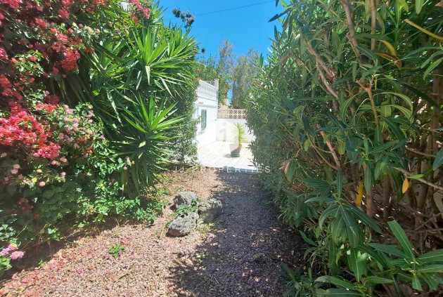 Resale - Villa -
San Miguel de Salinas - Inland