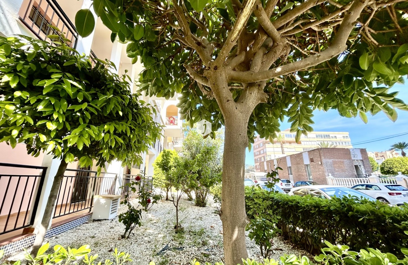 Tweedehands - Appartement / flat -
Torrevieja - Costa Blanca