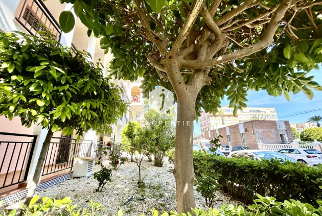 Tweedehands - Appartement / flat -
Torrevieja - Costa Blanca
