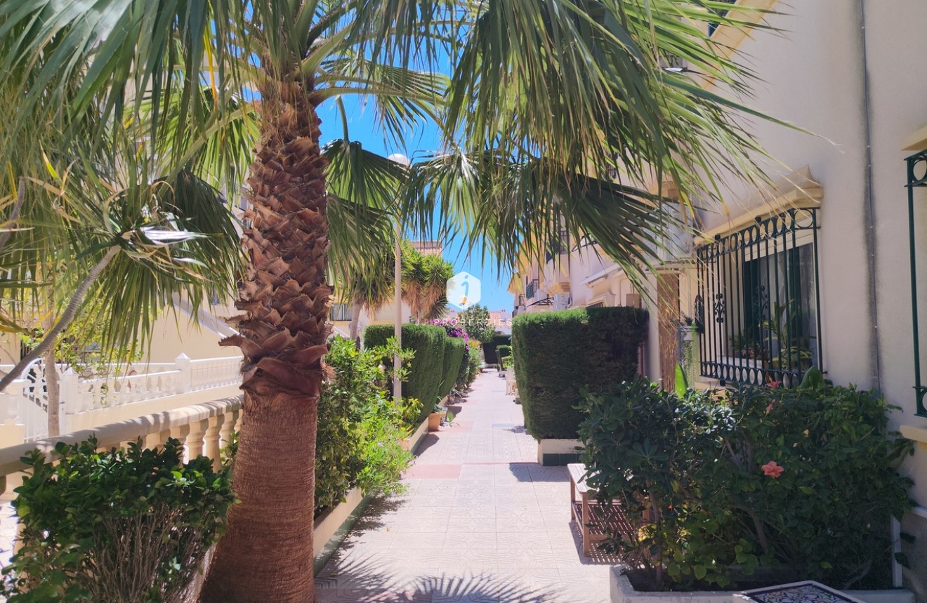 Resale - Chalet -
La Zenia - Costa Blanca