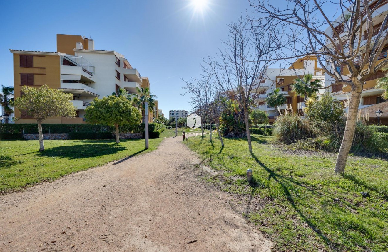 D'occasion - Appartement -
Torrevieja - Punta prima