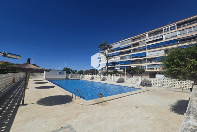 Tweedehands - Appartement / flat -
Torrevieja - Puerto Deportivo Marina Salinas