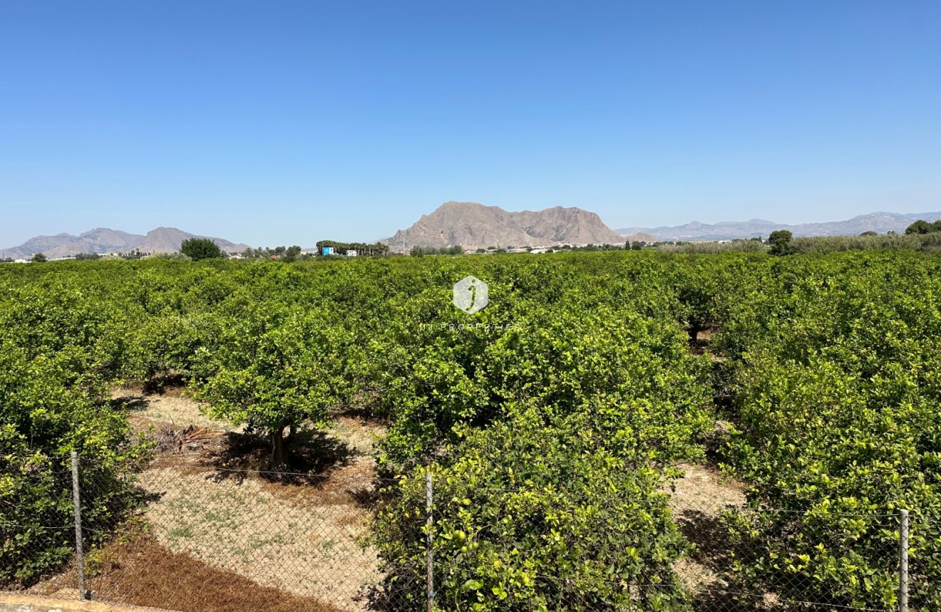 Resale - Chalet -
Benejúzar - Inland