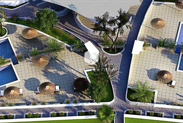 New Build - Apartment / flat -
Pilar de la Horadada - Mil Palmeras