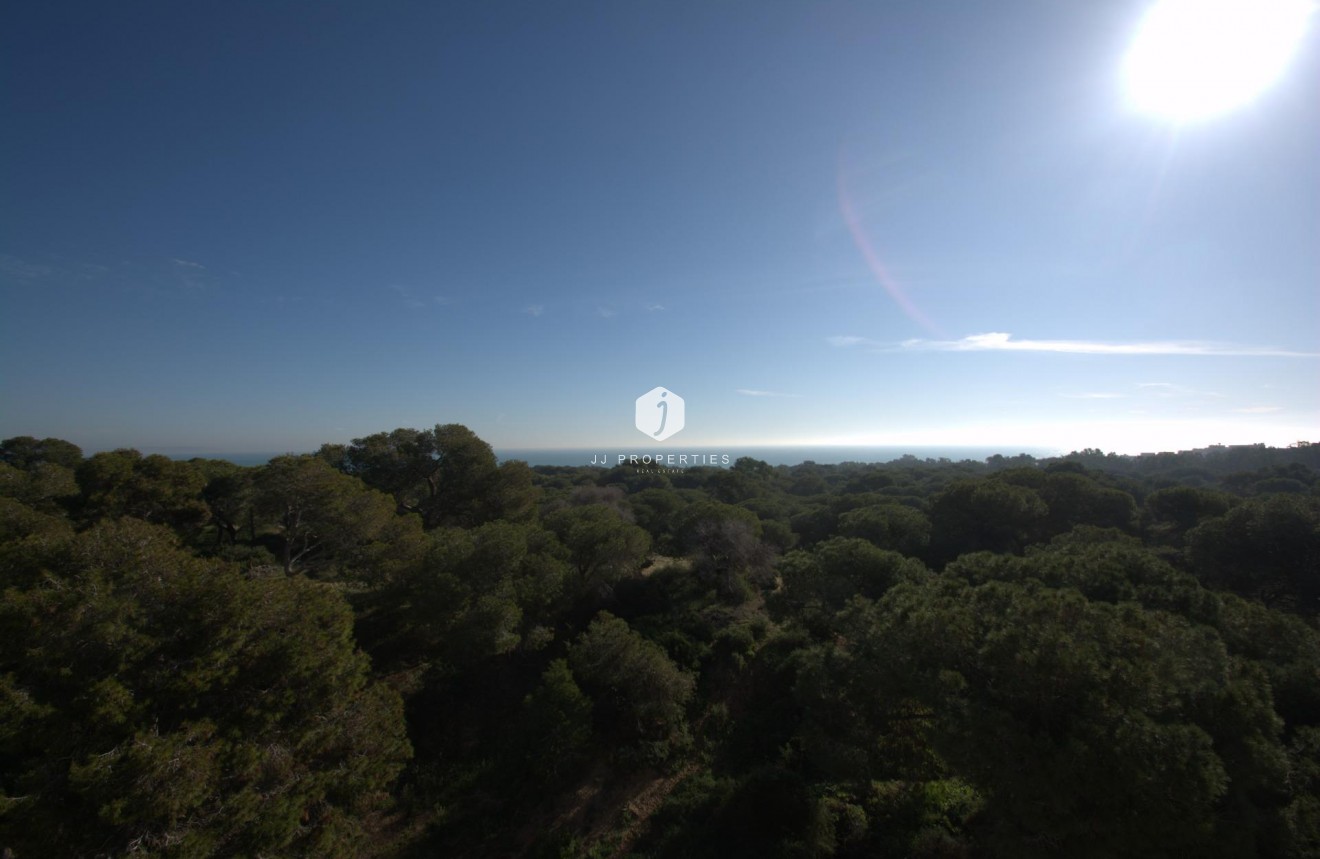 New Build - Penthouse -
Guardamar del Segura - Pueblo