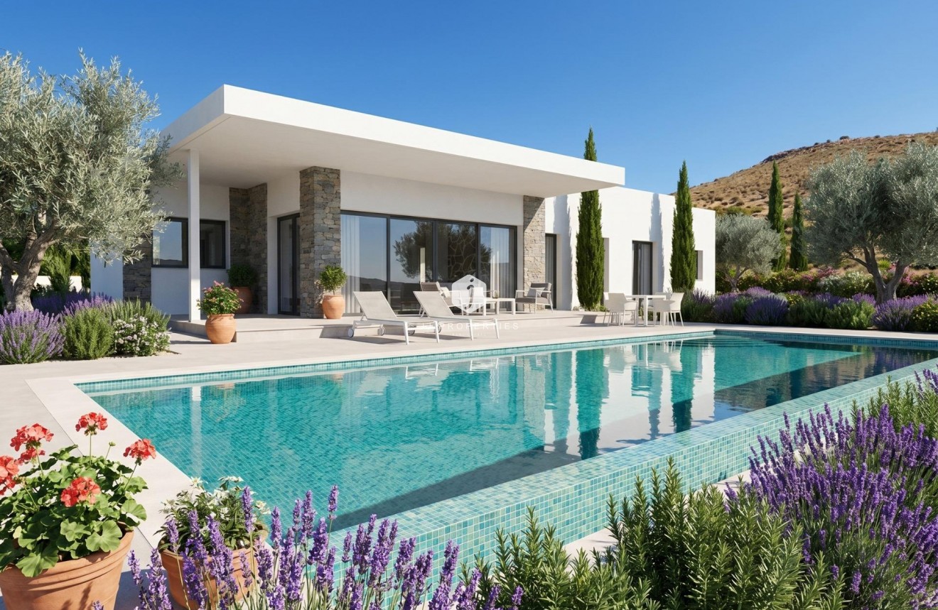 Obra nueva - Villa -
Pinoso - Casas Pastor