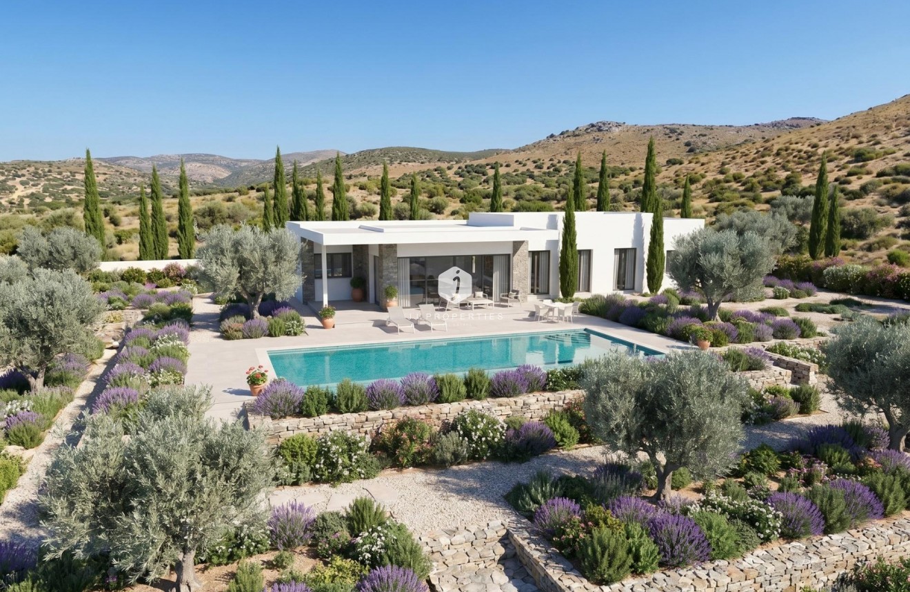 Obra nueva - Villa -
Pinoso - Casas Pastor