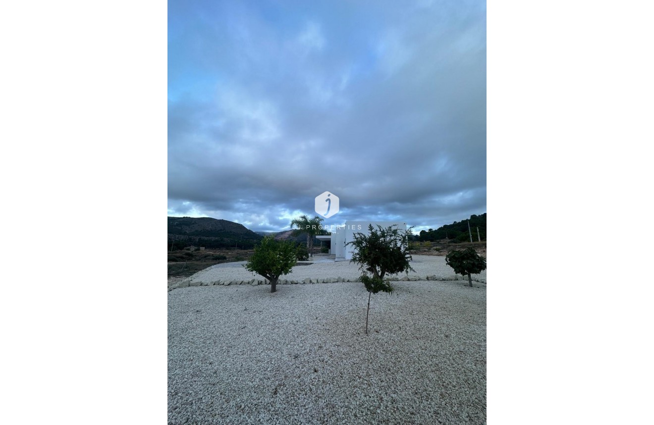 Obra nueva - Villa -
Pinoso - Casas Pastor