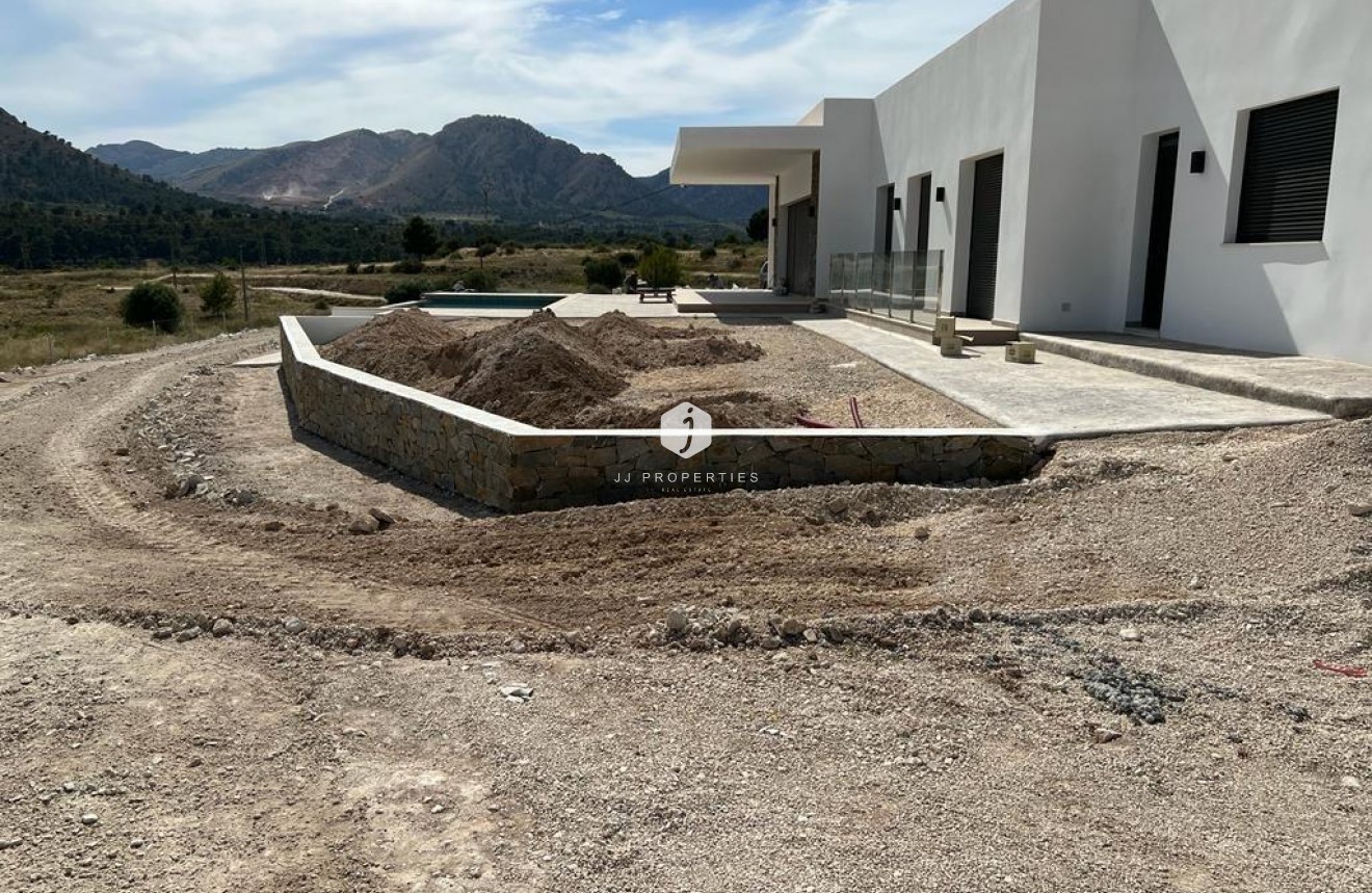 Obra nueva - Villa -
Pinoso - Casas Pastor