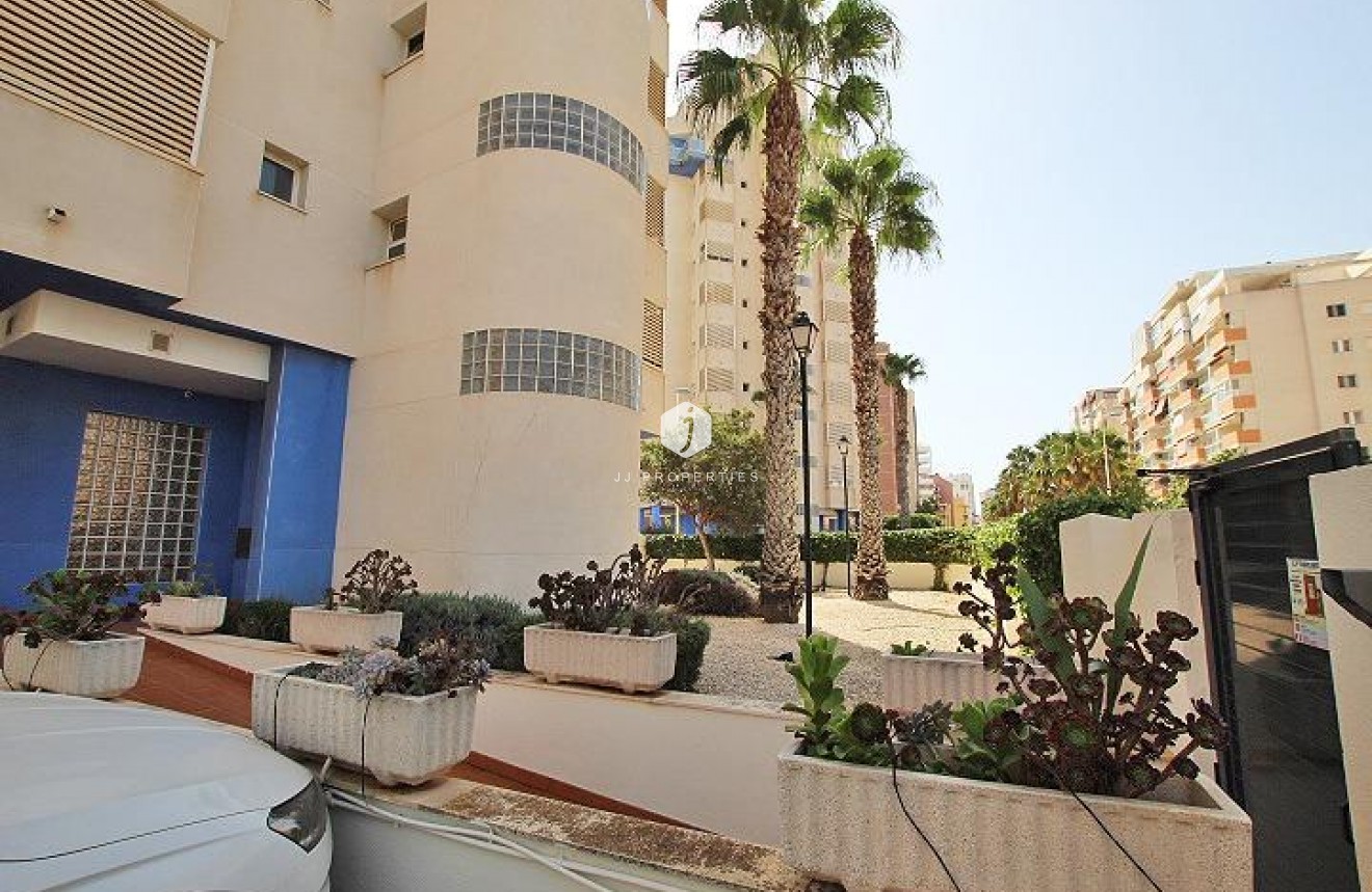 D'occasion - Appartement -
Guardamar del Segura - Avenida del Puerto