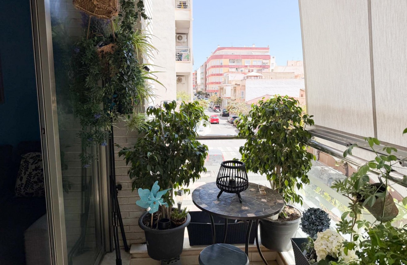 Tweedehands - Appartement / flat -
Torrevieja - Costa Blanca