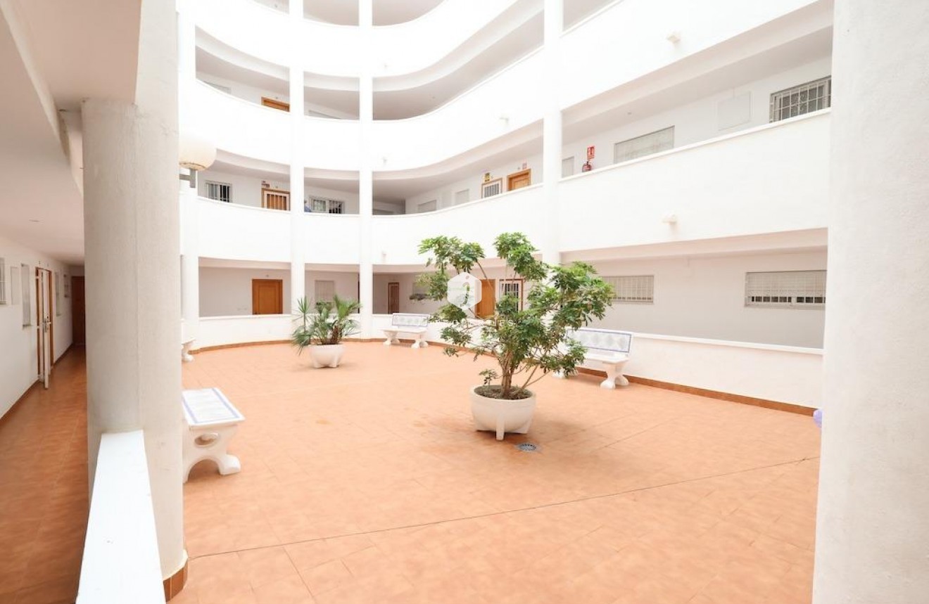 Aus zweiter Hand - Wohnung -
Torrevieja - Costa Blanca