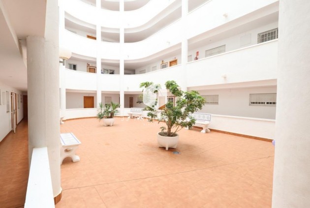 Aus zweiter Hand - Wohnung -
Torrevieja - Costa Blanca