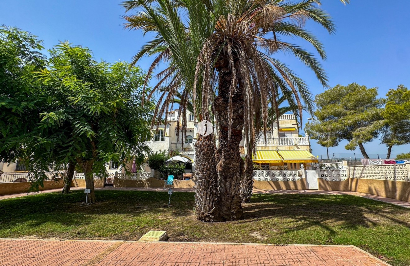Aus zweiter Hand - Bungalow -
San Miguel de Salinas - Inland