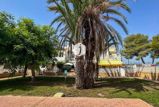 Aus zweiter Hand - Bungalow -
San Miguel de Salinas - Inland