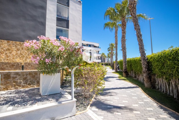 Aus zweiter Hand - Penthouse -
Los Altos - AMANECER