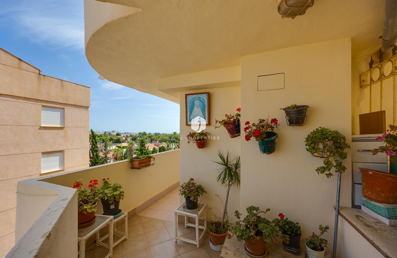 D'occasion - Appartement -
Torrevieja - Costa Blanca
