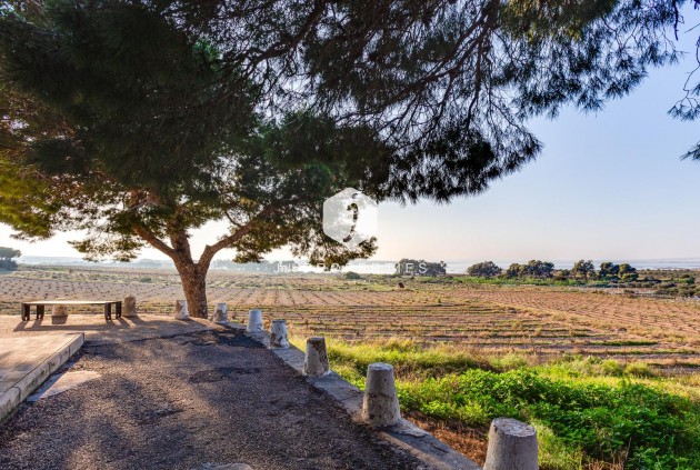 D'occasion - Bungalow -
Torrevieja - La Siesta - El Salado - Torreta