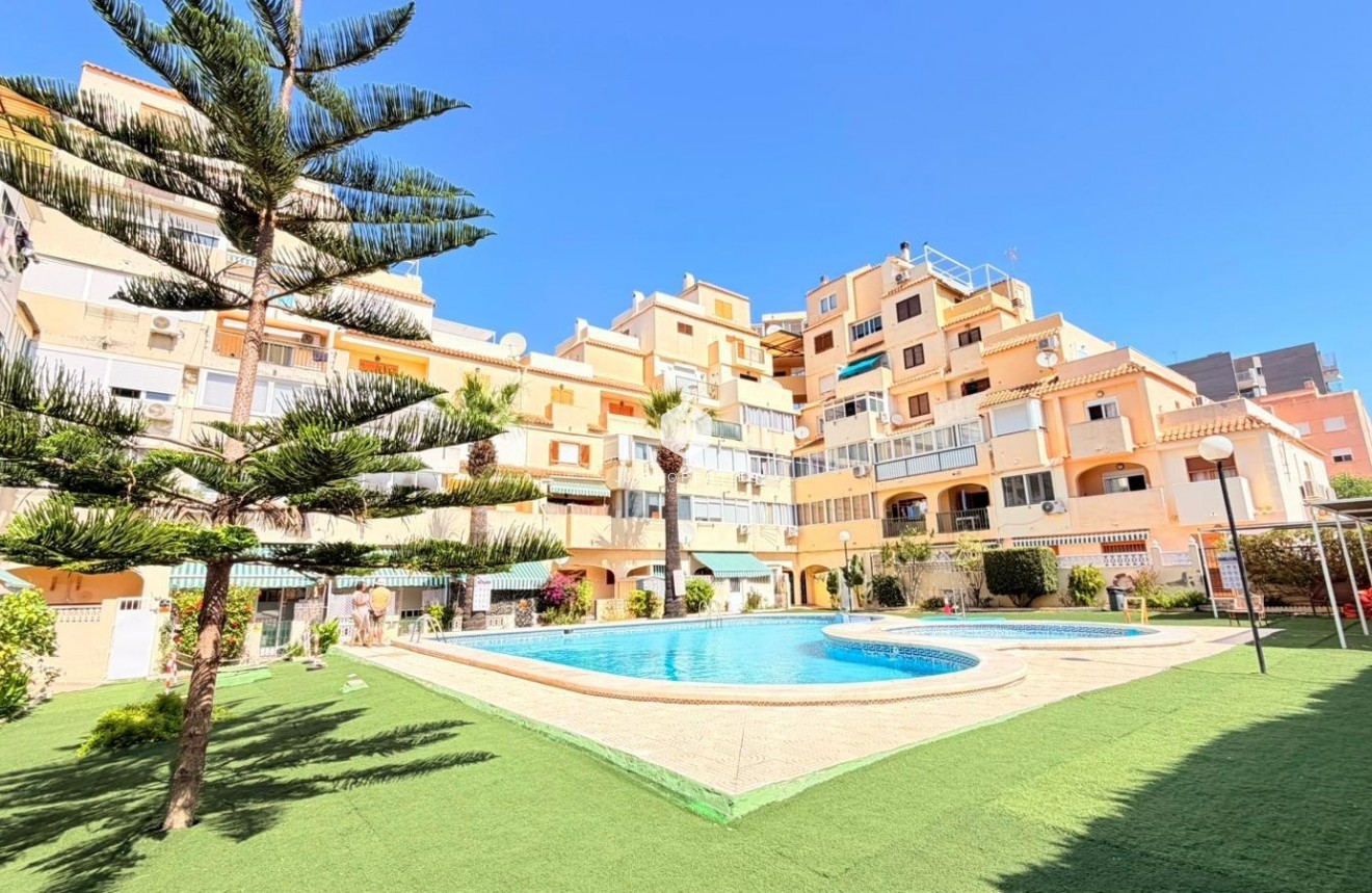 D'occasion - Appartement -
Torrevieja - Nueva Torrevieja