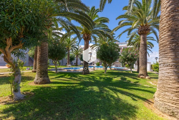 D'occasion - Appartement -
La Mata - Costa Blanca