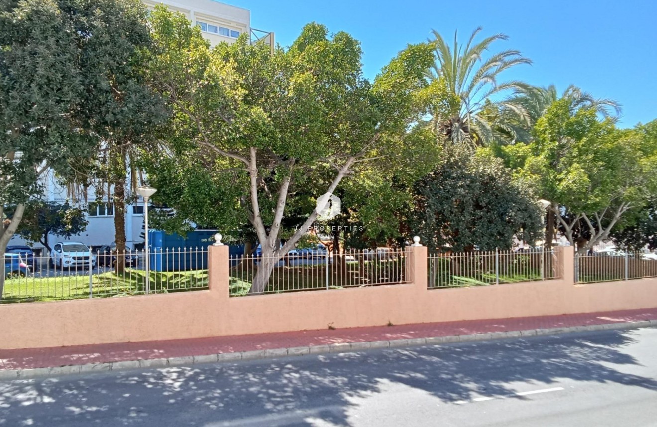 D'occasion - Appartement -
Torrevieja - Estacion de autobuses