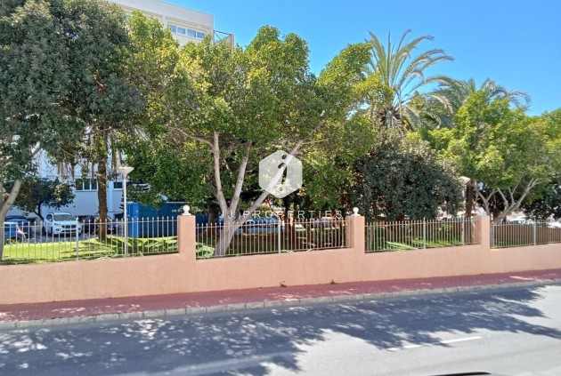 D'occasion - Appartement -
Torrevieja - Estacion de autobuses