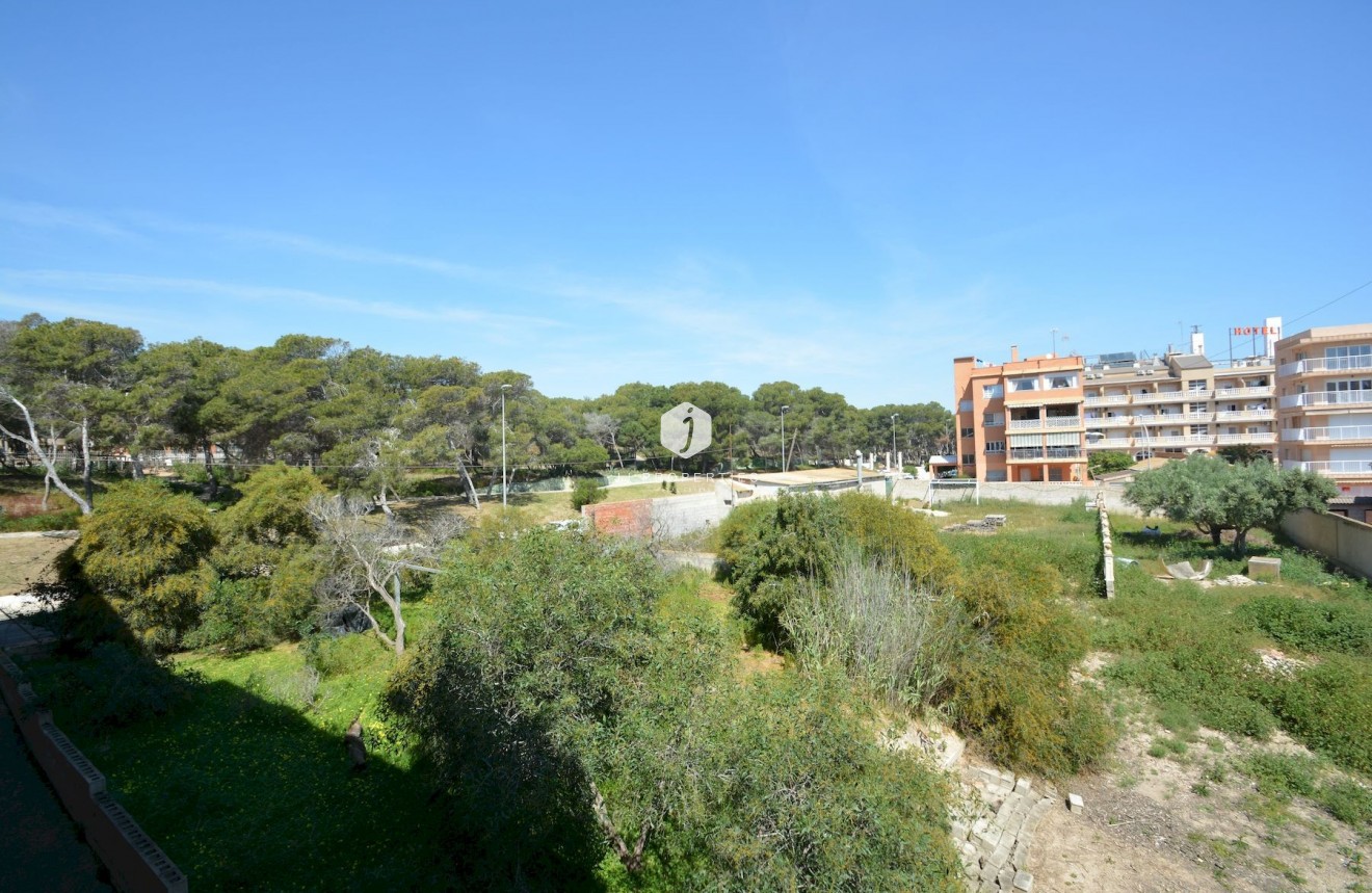 Resale - Apartment / flat -
Guardamar del Segura - Costa Blanca