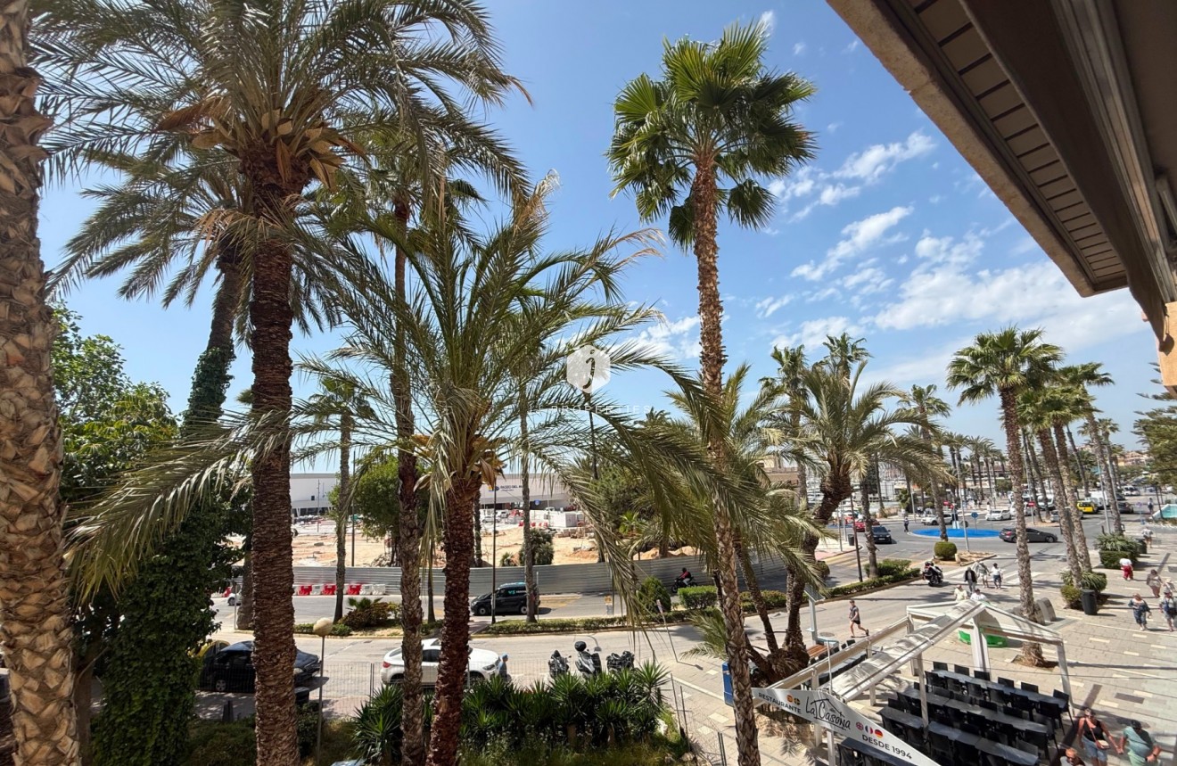 Z drugiej ręki - Mieszkanie w bloku -
Torrevieja - Costa Blanca
